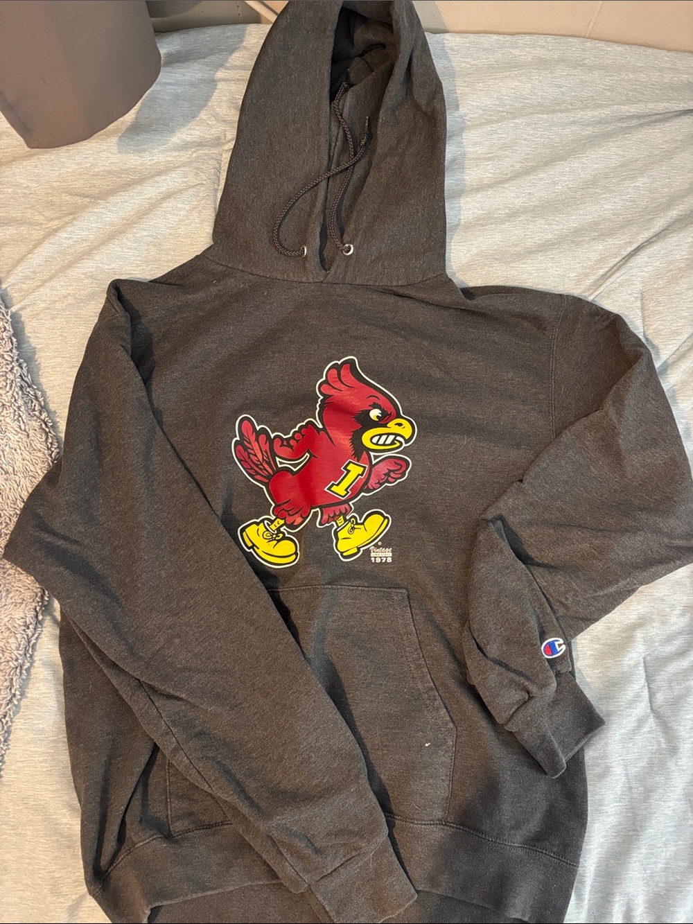 Iowa state champion hoodie